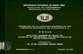 Universidad Autónoma de Nuevo Leóncdigital.dgb.uanl.mx/te/1080070861.pdf · comunidad suburbana de guadalupe n. l tesis para con salud comünttaria presenta en sanchez marzo de