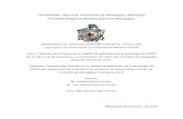 Universidad Nacional Autónoma de Nicaragua, Managua Facultad …repositorio.unan.edu.ni/1699/1/5300.pdf · 2016. 5. 12. · Subtema: Factores que influyen en la calidad de aplicación