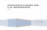 PROTECCIÓN DE LA MADERA - colibri.udelar.edu.uy€¦ · La madera es porosa, combustible, higroscópica (absorbe agua en forma líquida o de vapor dependiendo del medio ambiente
