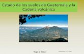 Estado de los suelos de Guatemala y la Cadena volcánicaEstado de los suelos de Guatemala y la Cadena volcánica ... Flora y fauna Poblaciones microbiológicas ... (POR DEPARTAMENTO)