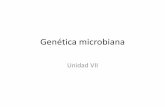 Genética microbiana - Webs · - Ciencia que estudia la herencia y la variación ... - Flujo de la información. Qué es un gen 1. Un gen puede ser definido como una entidad que especifica
