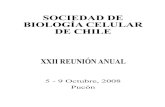 XXII REUNIÓN ANUAL - sbcch · 2013. 9. 23. · 1ICBM, CESAT, Facultad de Medicina, Universidad de Chile, 2Clínica INDISA, 3Universidad Mayor. iv_castro@med.uchile.cl (6) Evaluación
