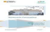 ITINERARIO FORMATIVO - Aragon · 2016. 11. 28. · Cirugía General y del Aparato Digestivo, Urología, Traumatología y Quemados y anestesia fuera del quirófano) . En el año de