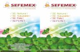Catalogo-2018 - SEFEMEX · Crisantemo (Chrysanthemum m.), especial para hombres mayores de 40 afros. Hongo Reishi (Ganoderma lucidum), ayuda a la reproducción de espermatozoides.