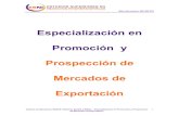 Especialización en Promoción y Prospección de Mercados de ... · de Mercados de Exportación 1 Especialización en Promoción y Prospección de ... el trabajo en equipo, el análisis