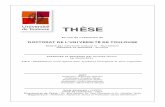 THÈSEthesesups.ups-tlse.fr/1531/1/2011TOU30290.pdf · 2012. 6. 5. · análisis del fenómeno emergente y auto-organizado sin modelar matemáticamente el sistema. Se propone, además,