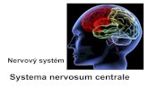 Systema nervosum centrale...pia mater – cavitas subarachnoidea • Liquor cerebrospinales – mozkomíšní mok Mozek (encephalon): •1 350 – 1 500g •Novorozenec 350 – 400g