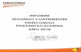 Santa Catarina Pinula...2017/03/21  · Saldo de disponibilidad inicial del período (Al 30/04/2018) Ingresos de efectivo Aportes del fideicomitente Desinversiones financieras Intereses