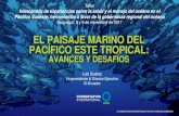EL PAISAJE MARINO DEL PACÍFICO ESTE TROPICALcpps.dyndns.info/cpps-docs-web/planaccion/docs2017/...Intercambio de experiencias sobre la salud y el manejo del océano en el Pacífico
