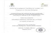 CICY...CICY Centro de Investigación Científica de Yucatán, A.C. Posgrado en Ciencias Biológicas AGRESIVIDAD DE CEPAS DE Mycosphaerella fijiensis AISLADAS DE FINCAS BANANERAS CON