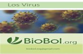 Los Virus - BioBol.orgbiobol.org/files/virus_bb.pdfClasificación David Baltimore, biólogo ganador del Premio Nobel, diseñó el sistema de clasificación que lleva su nombre. La