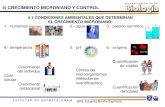 4) CRECIMIENTO MICROBIANO Y CONTROLdepa.fquim.unam.mx/.../Tema04/T-04-Crecimiento-211.pdf4) CRECIMIENTO MICROBIANO Y CONTROL 4.1 CONDICIONES AMBIENTALES QUE DETERMINAN EL CRECIMIENTO