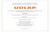 TESIScatarina.udlap.mx/u_dl_a/tales/documentos/lmr/llamas... · 2019. 12. 17. · 2 Datos de los directores Dr. René Lazcano Fernández Director Externo Sub-especialidad en córnea,