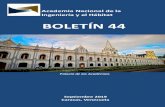 Academia Nacional de la Ingeniería y el Hábitatacading.org.ve/info/publicaciones/boletines/pubdocs/BOLETIN_44.pdf · para el Desarrollo Sostenible de la Cuenca del Lago de Valencia,
