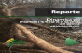 Dinámica de incendios y quemas en Bolivia · 2017. 12. 7. · 1 Dinámica de incendios forestales y quemas en Bolivia Resumen Presentamos los resultados de la actualización del
