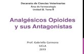 Analgésicos Opioides y sus Antagonistas · 2019. 11. 29. · Analgésicos Opioides y sus Antagonistas . OBJETIVOS 1. Describir los analgésicos opioides y sus antagonistas. Clasificar