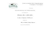 Hoja de cálculo - UNPA SUNEOblopez/HerramientasTecnologicas/... · 2020. 4. 2. · Hoja de cálculo Calc (Open Office) Elaboró: M.C. Bertha López Azamar Ciclo 2019-2020 B. ...