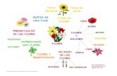 flores flores de silvestres jardín PARTES DE TIPOS DE FLORES … · 2019. 11. 1. · TIPOS DE FLORES PRESENTACIÓN DE LAS FLORES PARTES DE UNA FLOR FLORES Y COLORES EXPRESIONES CON