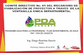 Presentación de PowerPoint - PDA Caquetapdacaqueta.gov.co/attachments/article/343/Presentacion... · 2018. 3. 5. · Diego Ramírez Osorio Gestor ... Actualmente el casco urbano