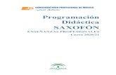 Programación Didáctica SAXOFÓN · 2020. 12. 1. · SAXOFÓN ENSEÑANZAS PROFESIONALES Curso 2020/21 . ADAPTACIÓN DE LA PROGRAMACIÓN DIDÁCTICA A LA NUEVA SITUACIÓN COVID-19
