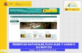 RESERVAS NATURALES FLUVIALES Y CAMBIO CLIMÁTICO...•A partir de las reservas naturales fluviales presentes en los planes hidrológicos intercomunitarios de primer y segundo ciclo