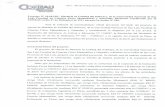Universidad Nacional de San Luis CONEAU - Calidad Soft.pdf · y aprobado el plan de estudios y reglamento posteriormente convalidados por Res. CS NO 04/10 La estructura de gobierno