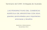 LA ESTRATEGIA DE INSERCION COMERCIAL DE ARGENTINA · temario . 1. las oportunidades que brinda la demanda mundial y de asia en las proximas decadas 2. el potencial de crecimiento