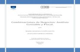 Combinaciones de Negocios: Análisis Contable y Fiscal. · 2014. 11. 24. · ABSTRACT El objetivo del presente trabajo es analizar el tratamiento contable y fiscal, en base a la normativa