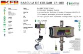 BASCULA DE COLGAR CF-100 - KFBkfb.cl/img/pesaje/balanzas_basculas/bascula_colgar/DE_COLGAR.pdf · BASCULA DE COLGAR CF-100 IMPORTADORA KFB S.A. Lo Boza 8887 Bodega C-1 Pudahuel -