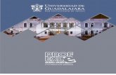 PROFEXCE 2020-2021 1 - Universidad de Guadalajaracgpe.udg.mx/sites/default/files/autoevaluacin... · Problemas de la Gestión (1), Igualdad de Género (1), Estancias Infantiles y
