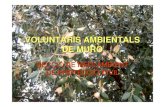 VOLUNTARIS AMBIENTALS DE MURO · 2020. 3. 30. · dirigides a la vigil ància i prevenci ó d’incendis forestals, aix í com altres tasques que impliquen la conservaci ó del medi