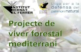 Projecte de viver forestal mediterrani · 2018. 12. 15. · Hem dit que el nostre és un viver forestal, amb arbres i arbustos del nostre bosc que és l’alzinar. Ara anem a veure