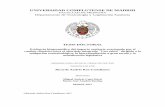 UNIVERSIDAD COMPLUTENSE DE MADRIDeprints.ucm.es/45958/1/T39481.pdfexhaustiva revisión transdisciplinar de literatura y aplicación del método de Hermenéutica cruzada según el Manual