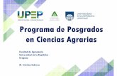 Programa de Posgrados en Ciencias Agrariasposgrados/documentos PDF/Charla MCA... · 2020. 9. 11. · 2004 Maestría en Ciencias Agrarias (opciones CC Animales, Vegetales, del Suelo,