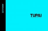 BrandsDepo Distribuitorul oficial Tupai manere usi interior ......TUPAI @TUPAI.PT  DMKT 2019 Created Date 5/1/2019 8:08:44 AM ...