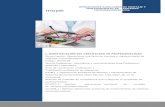 OPERACIONES AUXILIARES DE MONTAJE Y mopemope.es/pdf/temario-montaje-ordenadores.pdf · 2017. 11. 10. · componentes, se identifican y utilizan para realizar el montaje y ... Componentes