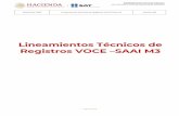 Lineamientos Técnicos de Registros VOCE SAAI M3oma...Diciembre 2020 Lineamientos Técnicos de Registros VOCE –SAAI M3 Versión: 8.8 Administración General Aduanas Administración
