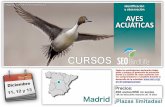 curso aves acuaticas madrid 2020 · 2020. 11. 18. · disposivo para par%cipar en la misma (la plataforma y el canal e instrucciones de acceso se proporcionará a l@s par