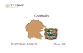 Coahuila - Gob...Nacional Coahuila Periodo 19,702,192 754,877 Septiembre 2020 Tasa de Desocupación (por ciento) 1/ 2.9 4.6 Marzo 2020 Conflictividad colectiva laboral en la Juridicción