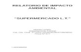 RELATORIO DE IMPACTO AMBIENTAL “SUPERMERCADO L.T.” · 2019. 11. 7. · RELATORIO DE IMPACTO AMBIENTAL PRELIMINAR SUPERMERCADO L.T DISTRITO LIMPIO, DEPARTAMENTO CENTRAL Además,