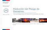 Reducción del Riesgo de Desastres - Econssa Chile...Prioridad 2 •Invertir en la Reducción del Riesgo de Desastres para la Resiliencia (invertir en medidas estructurales y no estructurales)