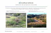 Informe de projecte executat - Naturalea · 2018. 5. 22. · info@naturalea.eu (+34) 937 301 632 1 de 4 Informe de projecte executat Construcció d’un sistema de depuració natural