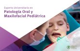 Experto Universitario en Patología Oral y Maxilofacial Pediátrica · Que es la odontología pediátrica y cuál es el papel del odontopediatra en la odontología actual. 1.1.2.
