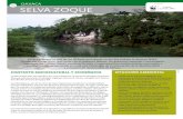 1118 selva zoque - Panda · 2020. 5. 29. · La Selva Zoque tiene una superficie de 1,133,370 hectáreas, de las que la subregión Chimalapas (Oaxaca) representa 60%, la subregión