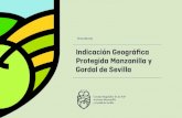 Indicación Geográﬁca Protegida Manzanilla y Gordal de Sevilla...El área de producción de la IGP Aceituna Manzanilla de Sevi-lla y de la IGP Aceituna Gordal de Sevilla abarca