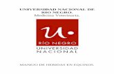 UNIVERSIDAD NACIONAL DE RIO NEGRO. Medicina Veterinaria. · 2020. 5. 15. · cirugía veterinaria. El desconocimiento de los principios básicos del tratamiento que rigen estos accidentes