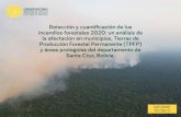 Detección y cuantificación de los incendios forestales 2020 ......Detección y cuantificación de los incendios forestales 2020: un análisis de la afectación en municipios, Tierras