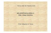 NEUROFISIOLOGÍA II 2da. clase teórica · 2015. 8. 18. · 2da. clase teórica Prof. Alberto A. Yorio FACULTAD DE PSICOLOGÍA. HOMOLOGIA La homología es la relación que existe
