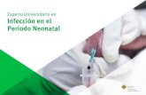 Experto Universitario en Infección en el Periodo Neonatal...06 | Presentación Este Experto Universitario en Infección en el Periodo Neonatal contiene el programa científico más