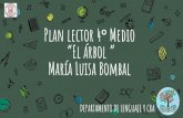Plan lector 4 Medio El árbol María Luisa Bombal · 2020. 9. 2. · EL YO EN TENSIÓN 10 Actividad 1 El ambiente físico en que transcurren las acciones también cumple un rol signiﬁcativoen